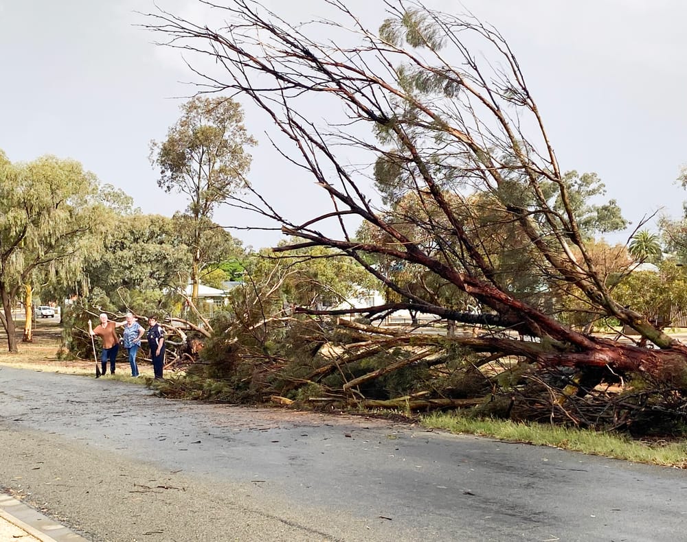Missed storm calls prompt SES plea post image