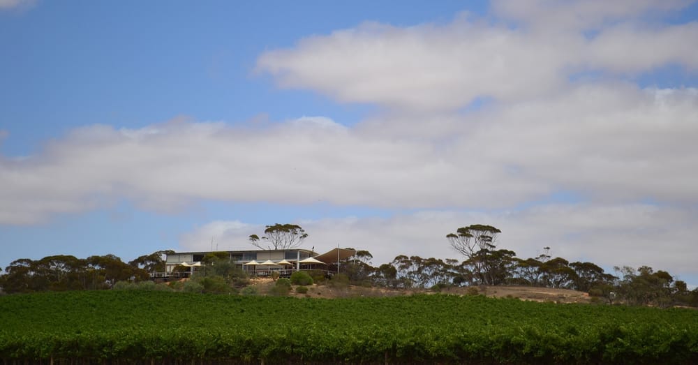 Banrock sale process under way post image