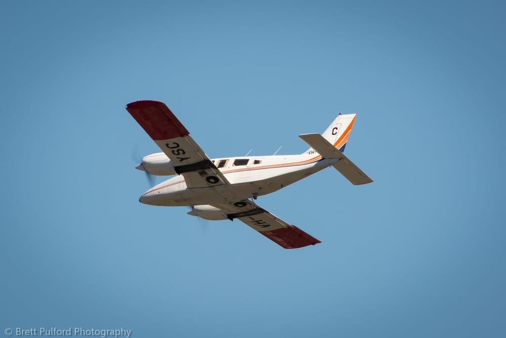 Sterile fruit flies taking flight for Riverland post image