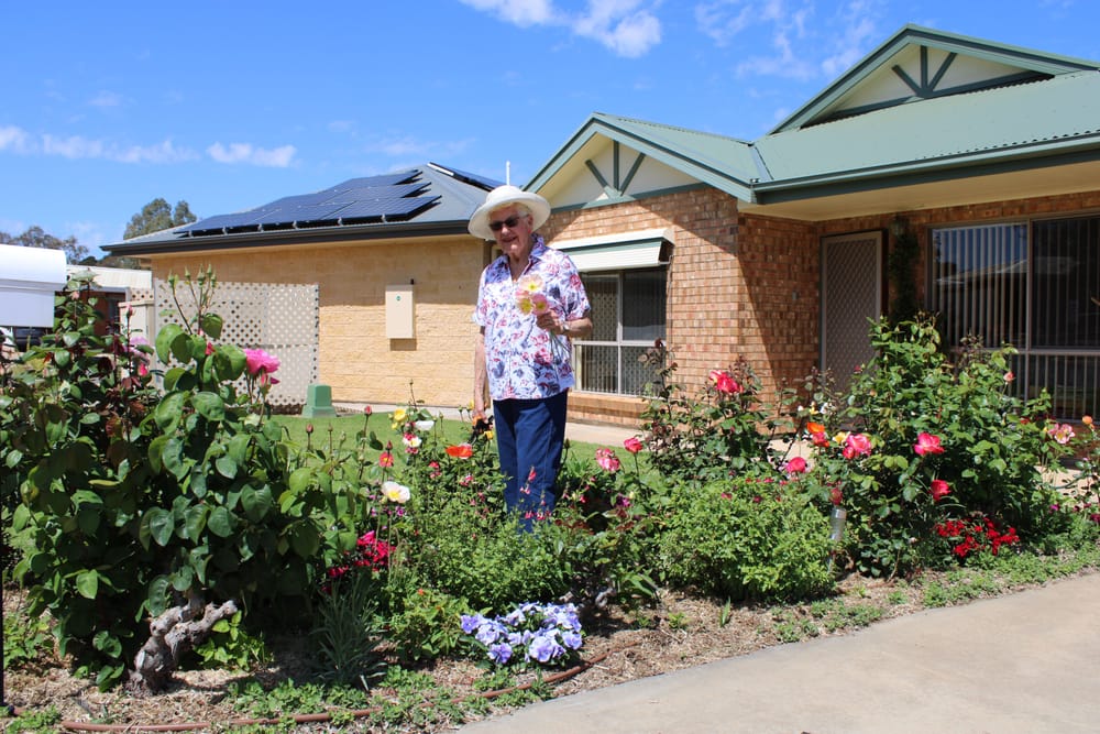 Waikerie flower show to bloom despite the cold spring post image