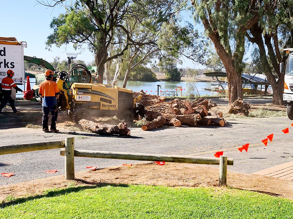 Contentious trees cut down post image
