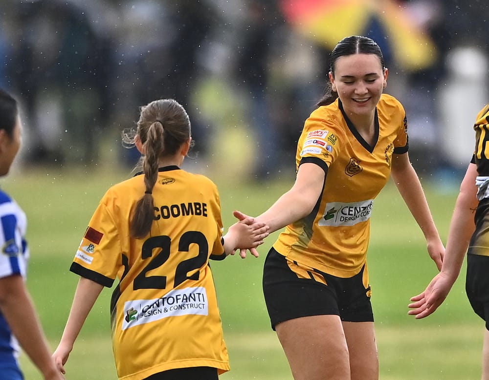 Funding to support female soccer growth post image