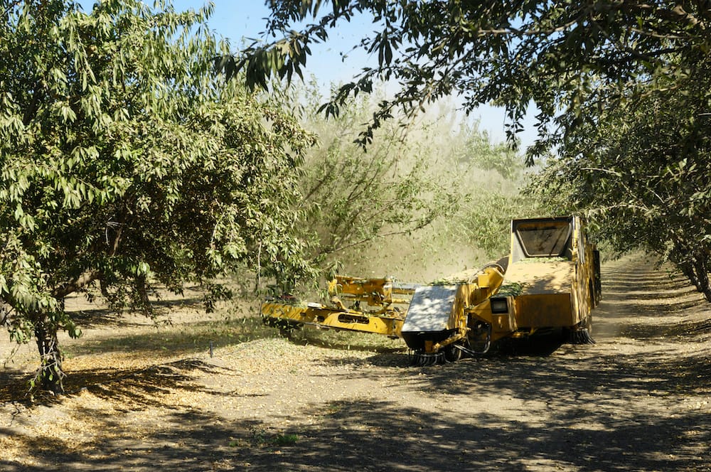 Almond industry conference returns next month after hiatus post image