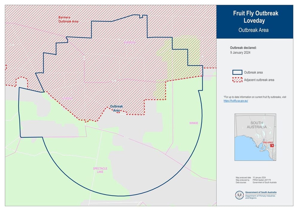 Loveday the latest on fruit fly list post image