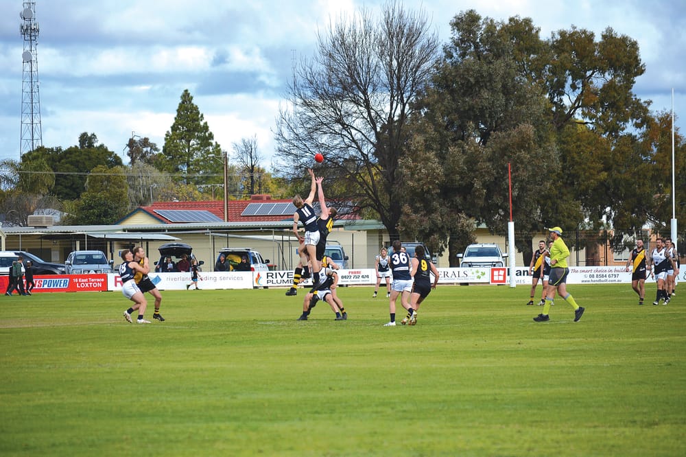 Tigers steal the show at home post image