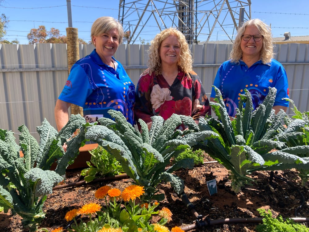 Berri Community Centre a place for the whole community post image