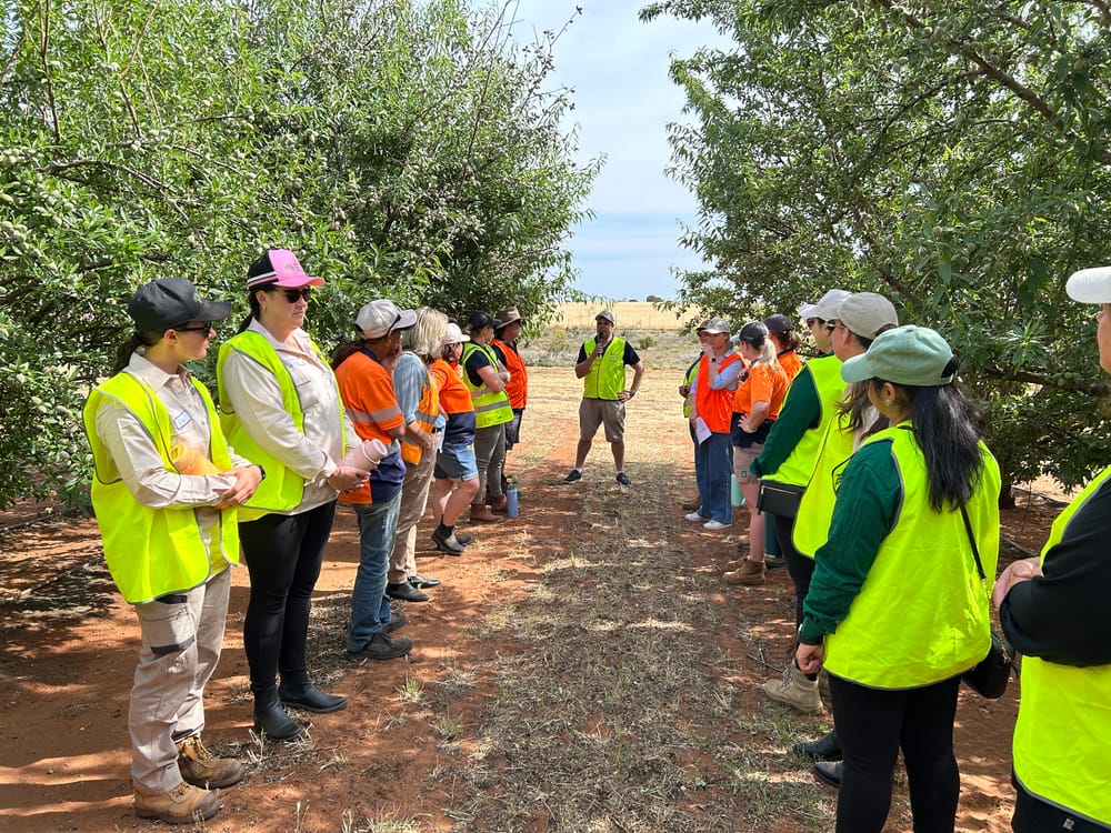 Women’s almond networking event in Loxton post image