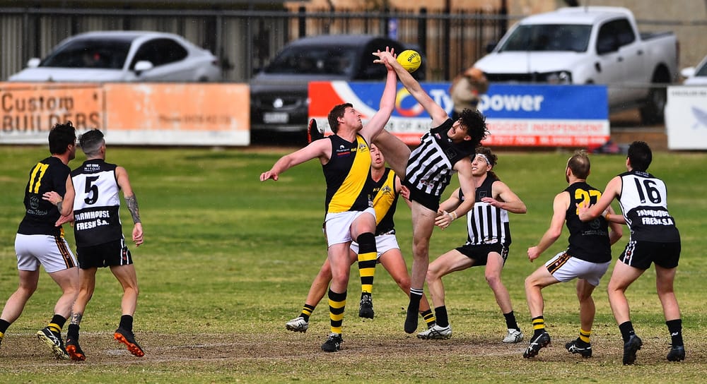 It’s go, go, go: My hectic weekend in the Riverland post image