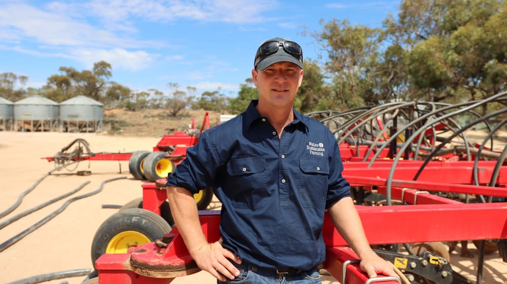 Rain brings hope to farmers post image