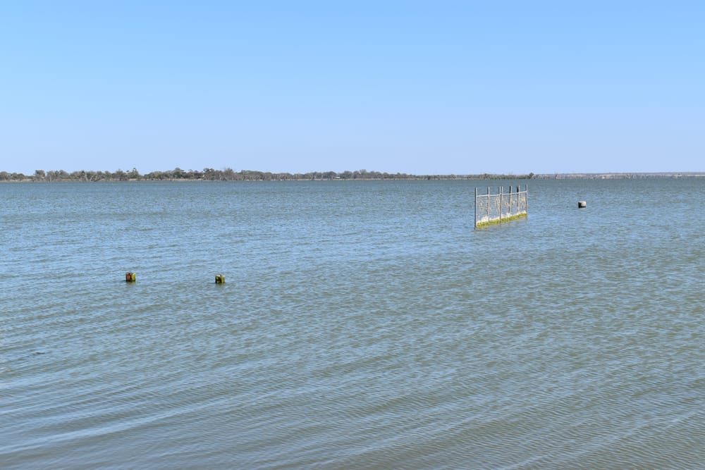 Unsafe again: SA Health’s latest Bonney backflip post image