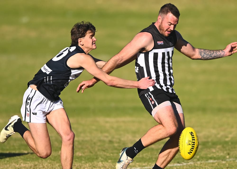 Waikerie pounce on decimated Panthers post image