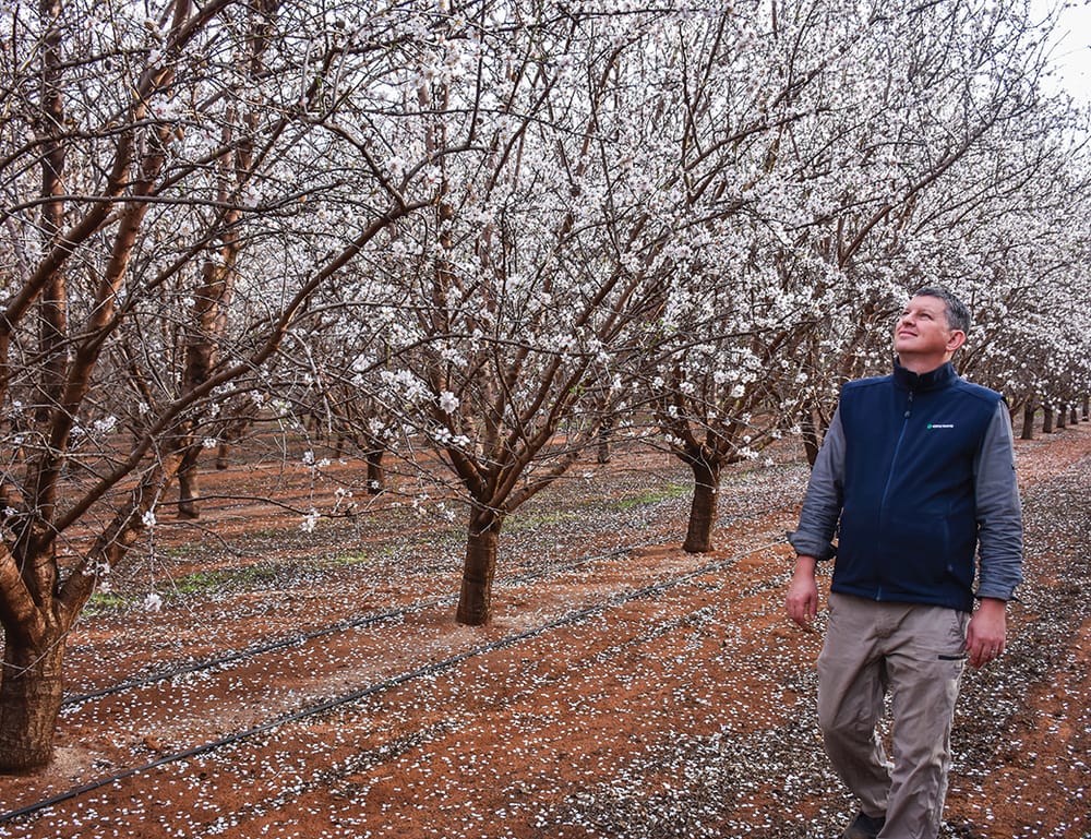 Border rules impacts Lindsay Point farm post image