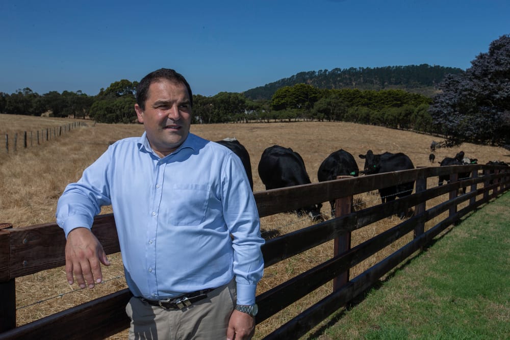 Labor axes regional grant funding project post image