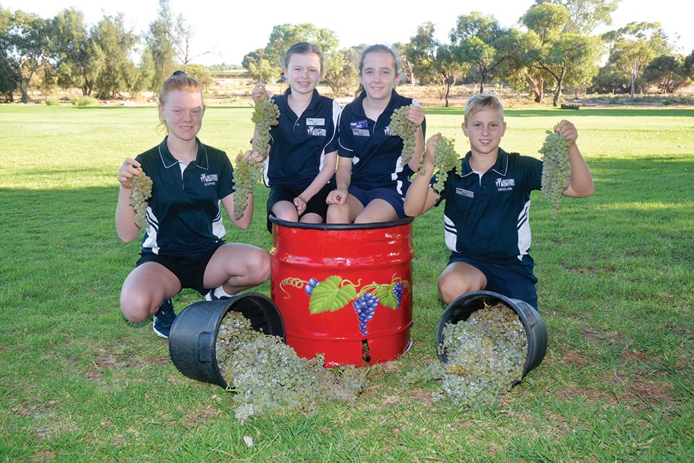 It’s wine o’clock… time to stomp post image