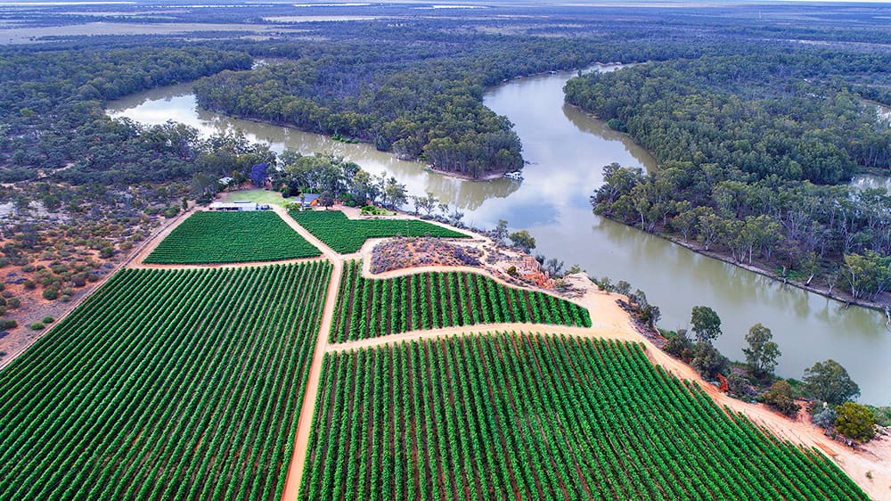 Riverland Wine’s virtual reality game-changer post image