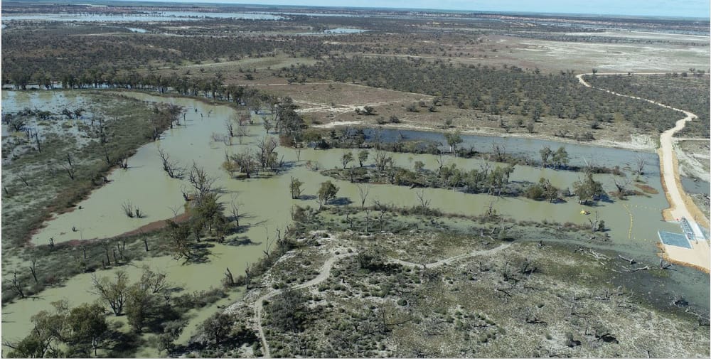 High flows ‘fantastic’ for our local floodplains post image