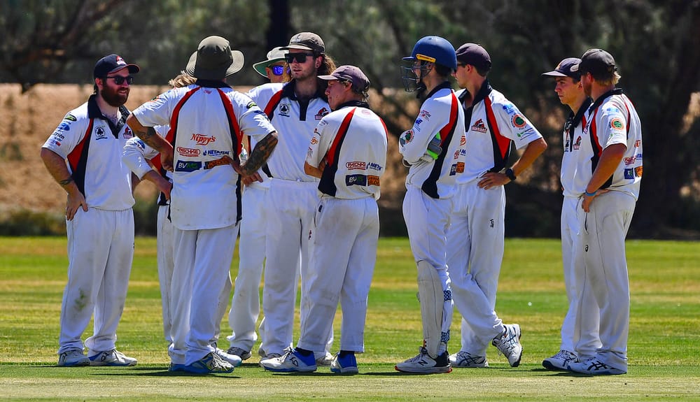 Bats at the ready for cricket return post image