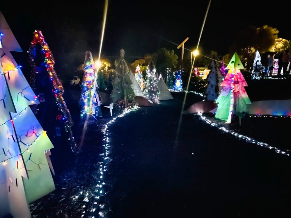 Waikerie’s Christmas Tree Trail beckons post image