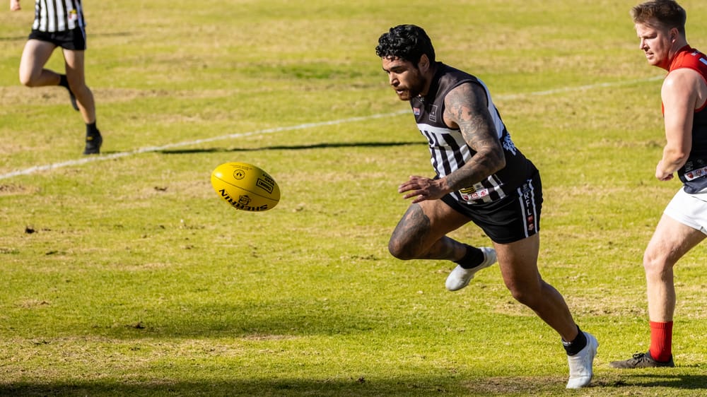 Waikerie waltz past depleted Demons post image