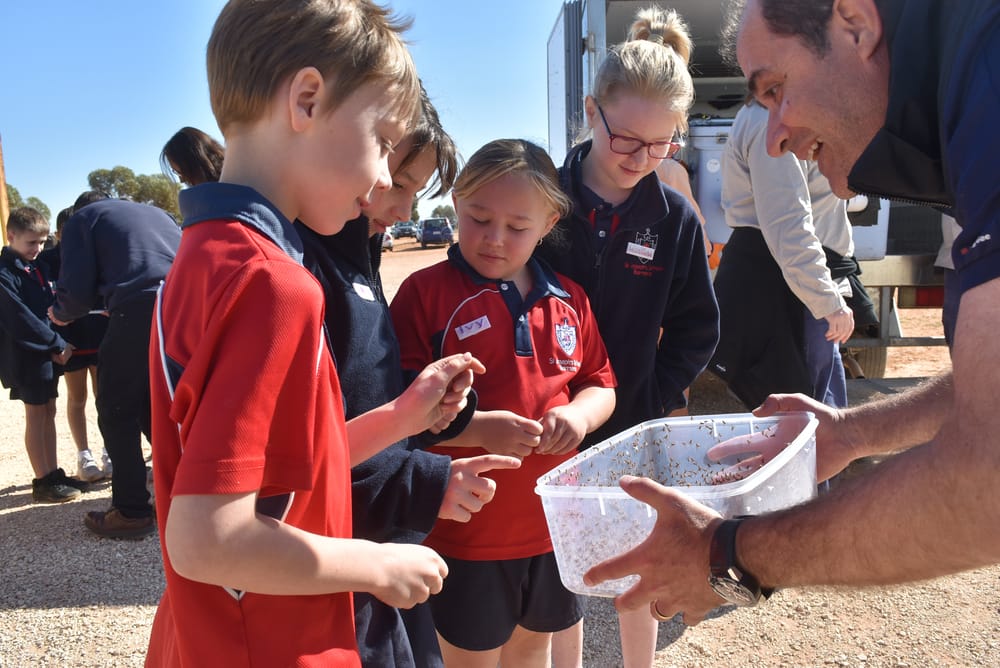 Taking fruit fly awareness to the classroom post image