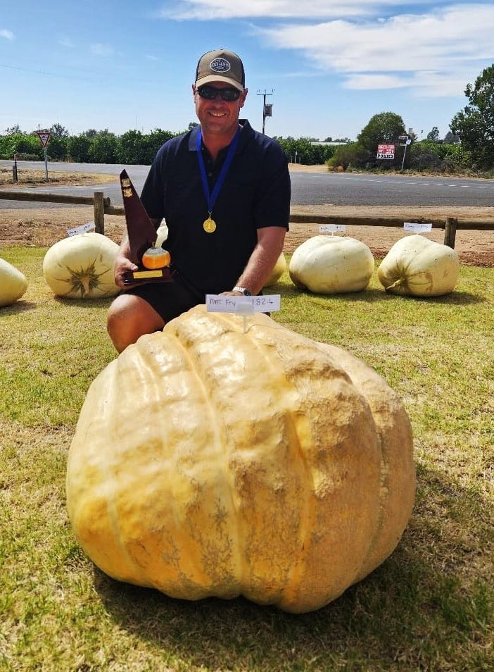 Cadell’s annual contest for our giant pumpkins and sunflowers post image