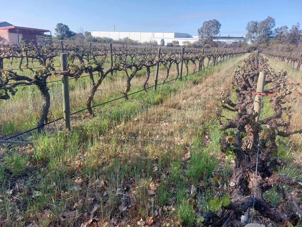 Suggestions to help growers post image