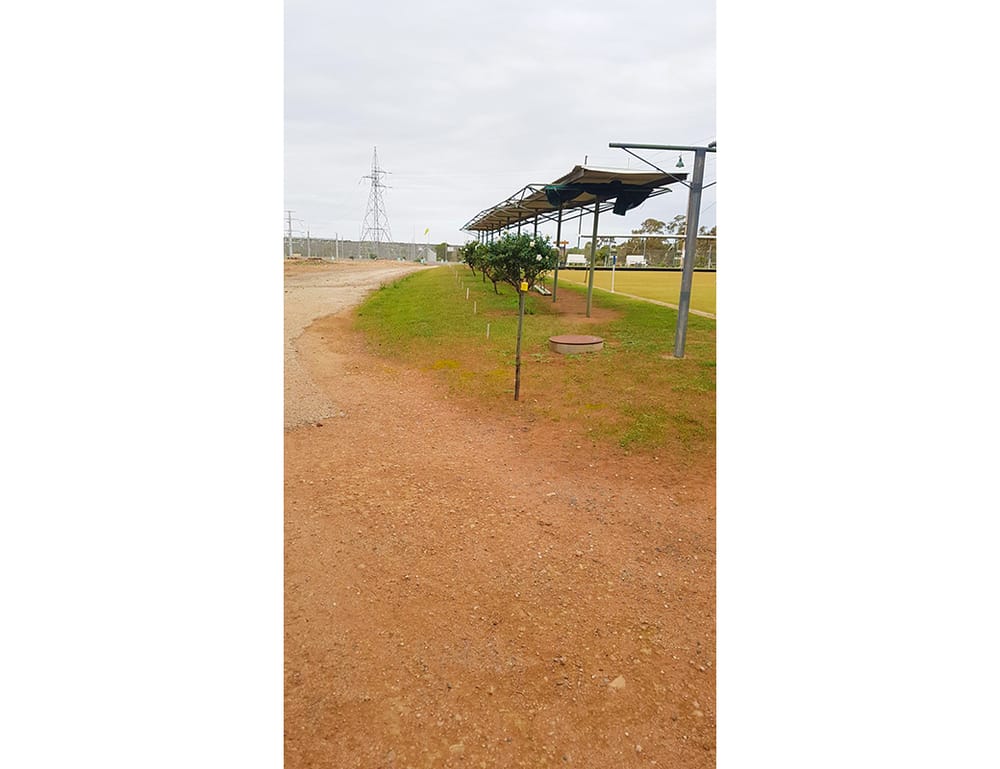 Protect the (bowling) greens post image