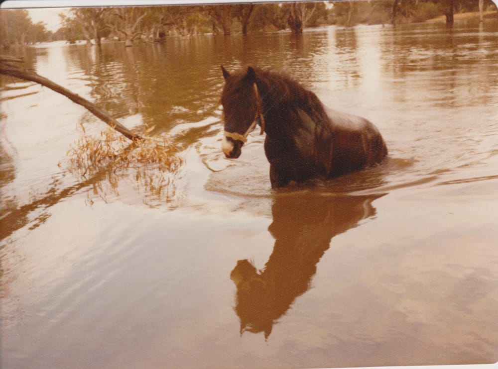 Qualco resident reflects on flood post image