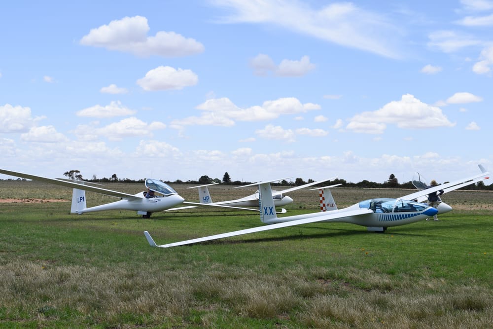 Waikerie hosts SA gliding event post image