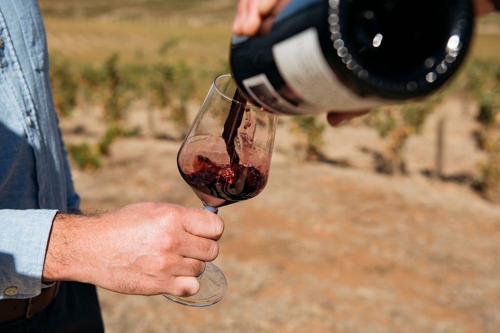 Premier’s ‘productive’ talks on wine tariffs post image