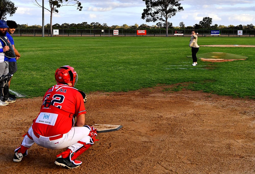 Baseball back in business post image