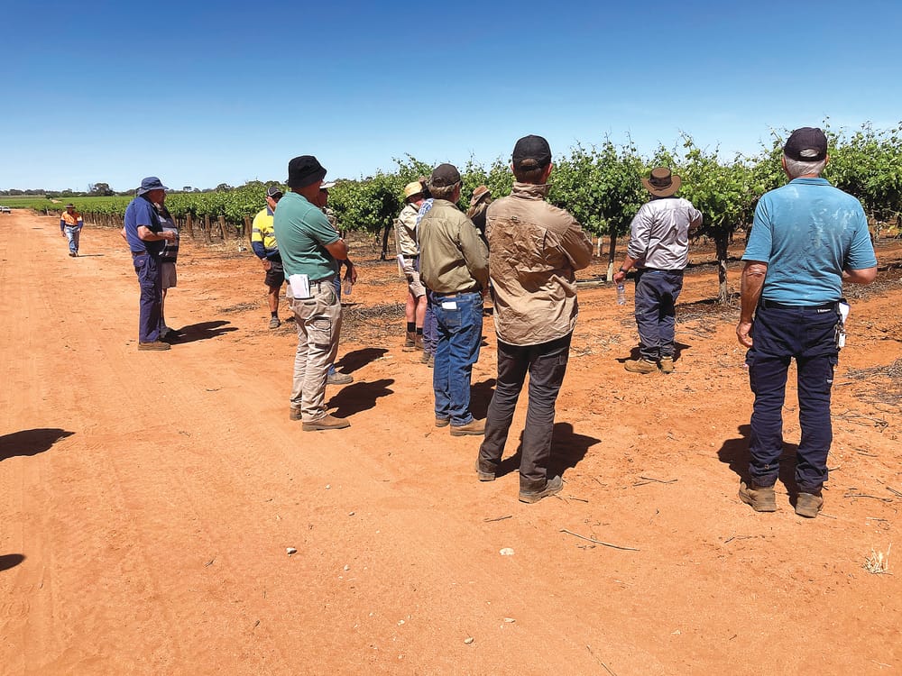 Carbon essentials for agribusiness post image