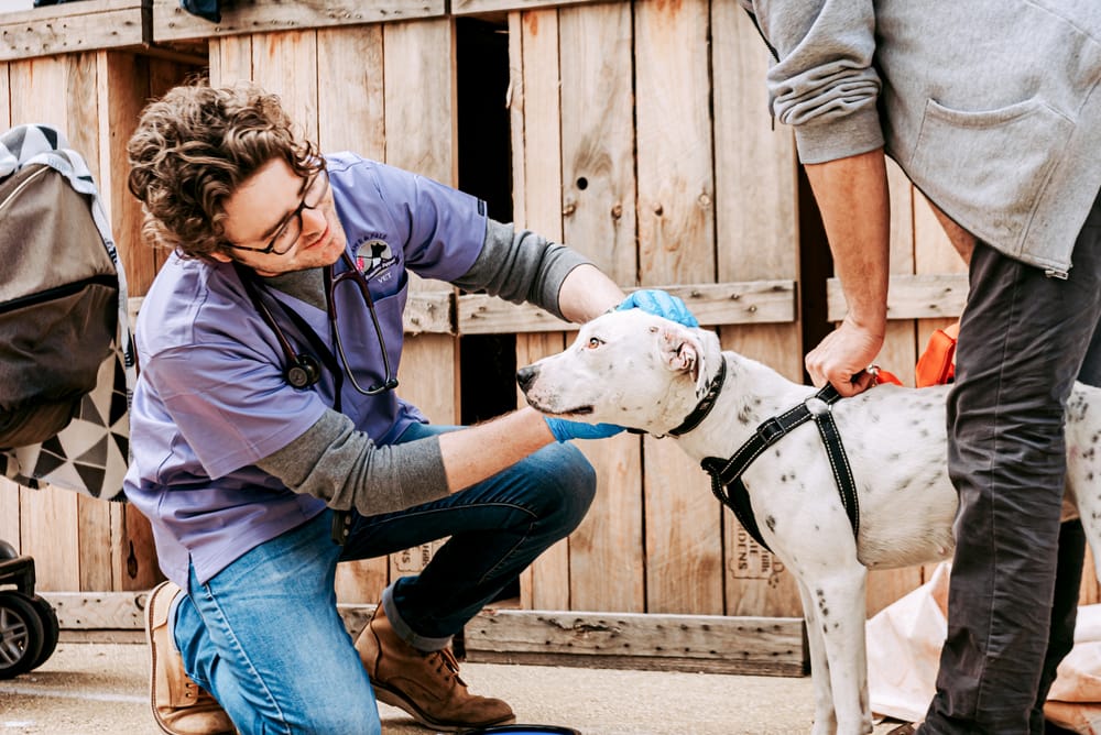 Pop-up vets to help homeless post image