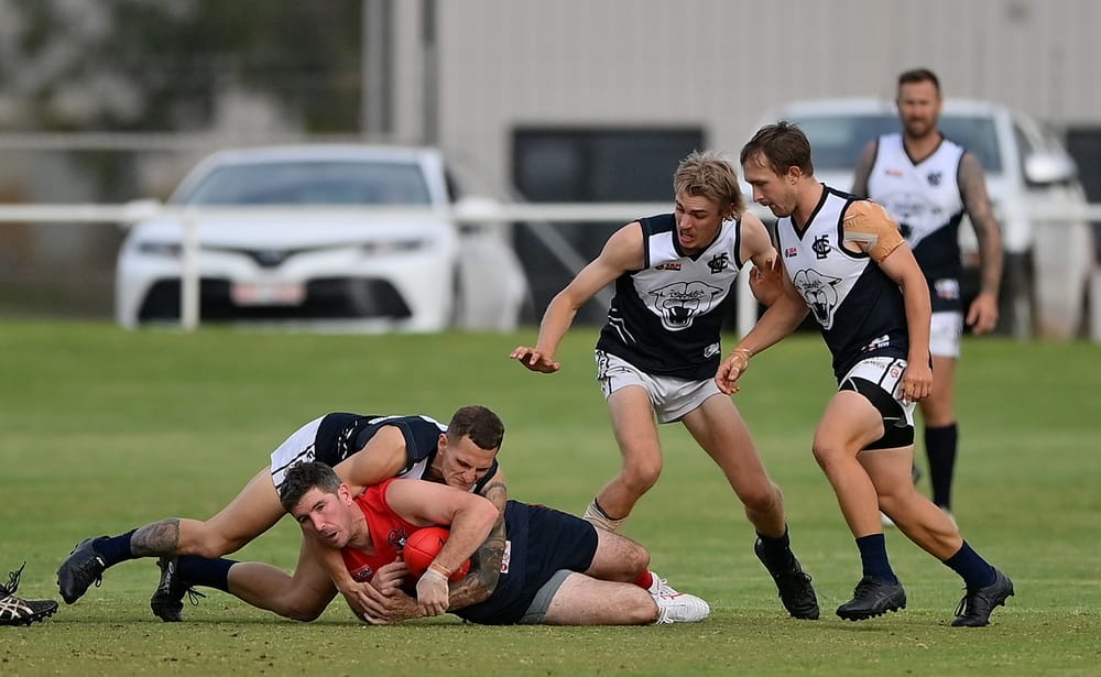 Panthers pounce in second half post image
