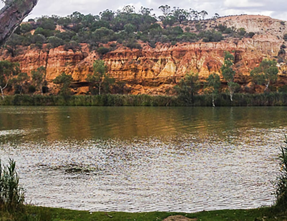 Celebrating 50 years of Riverland national parks post image
