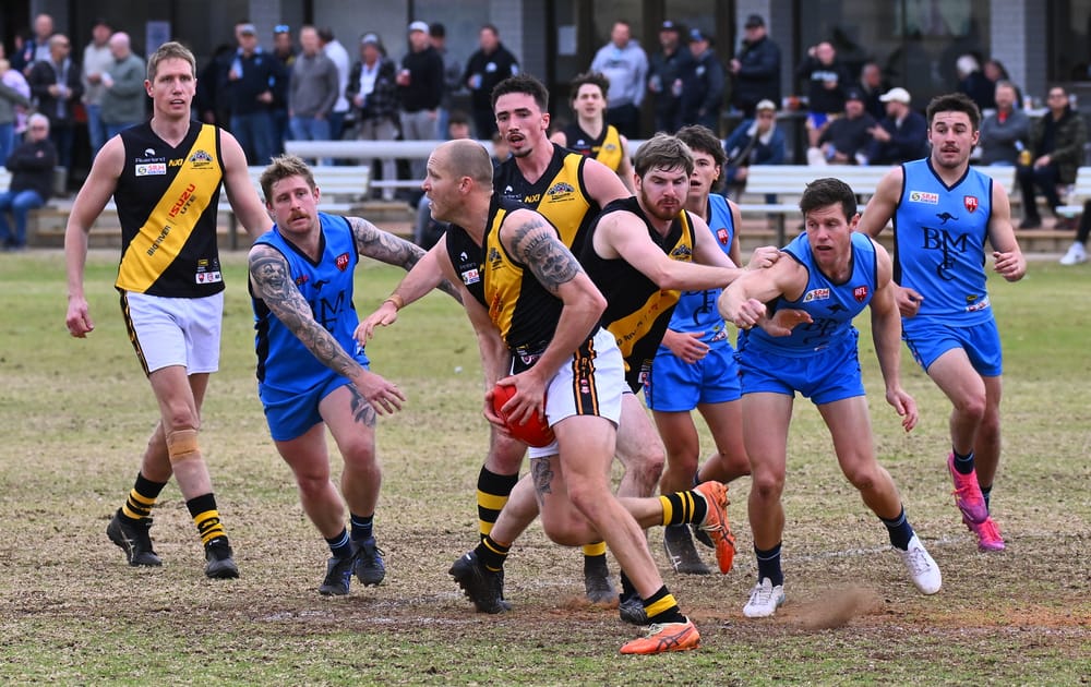 Tigers unable to match ruthless Roos post image