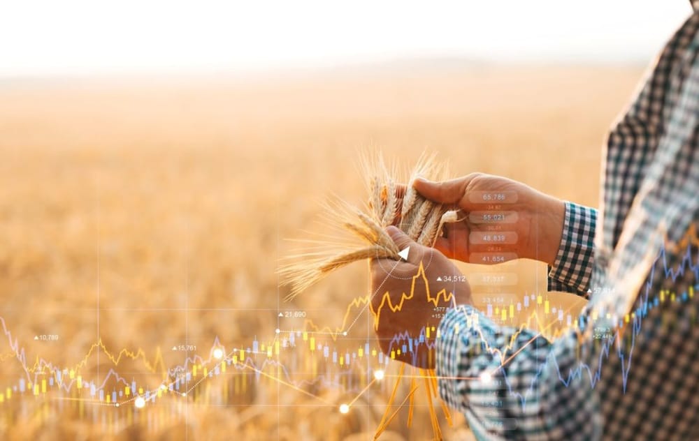 Survey shows sustainability crucial for grain post image