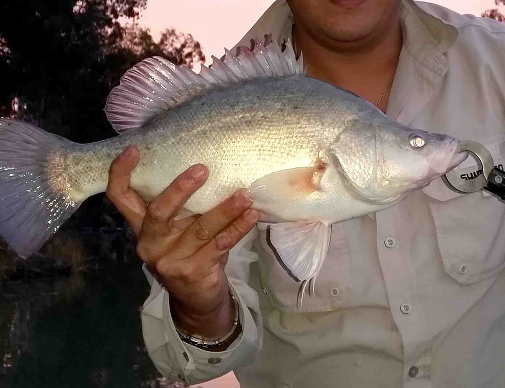 COVID-19 puts an end to Easter fishing post image