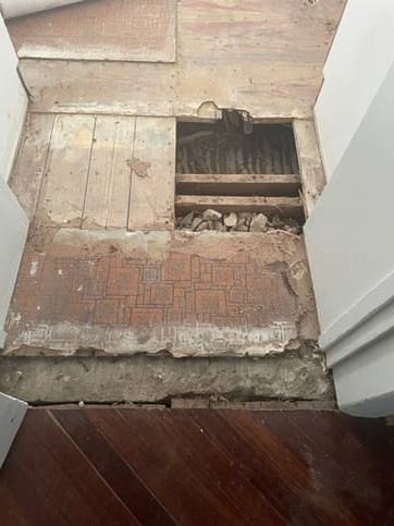 TERMITES: Calls for better maintenance of institute... Santa’s Cave in the clear post image