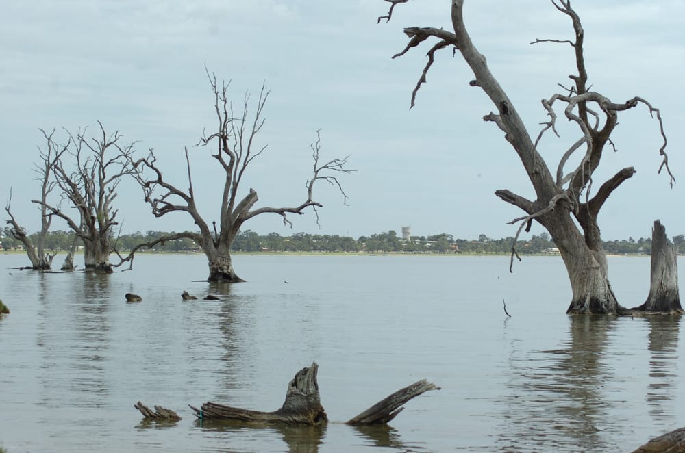 Hydro plant plan ‘risk to irrigators’ post image