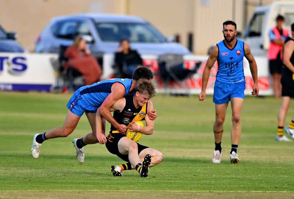 Roos flex their muscles at home post image