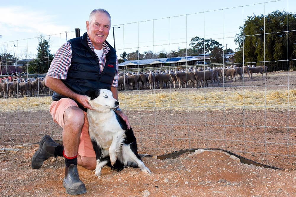 Sheep Dog Trials are baa-ck post image