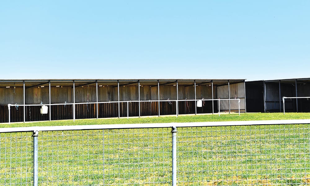 Racing SA backs club post image