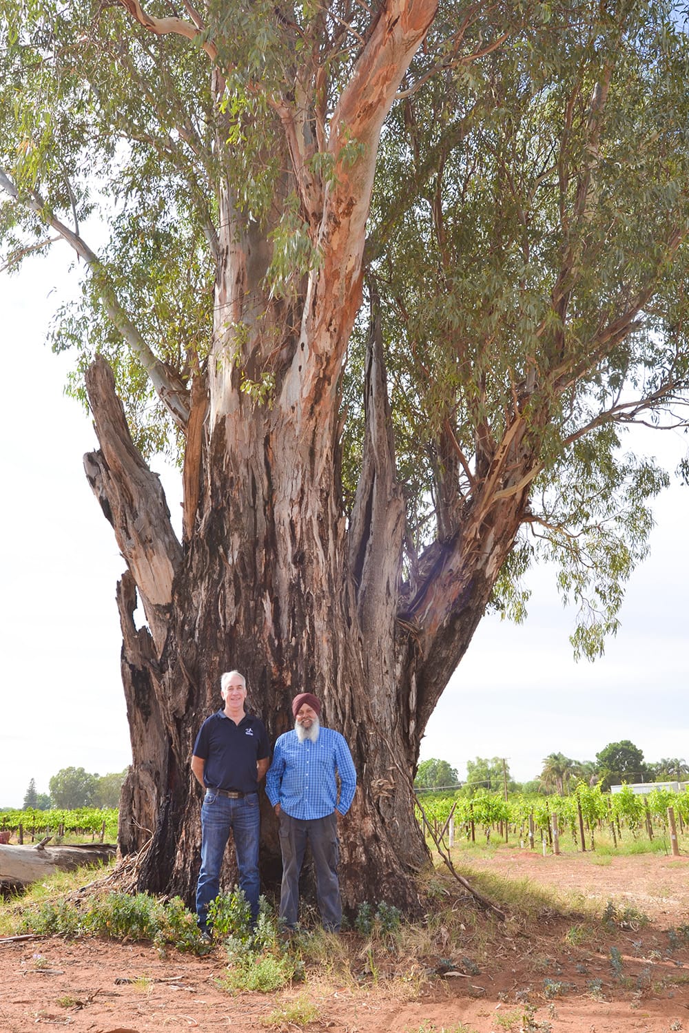 Monash community to preserve local landmark post image