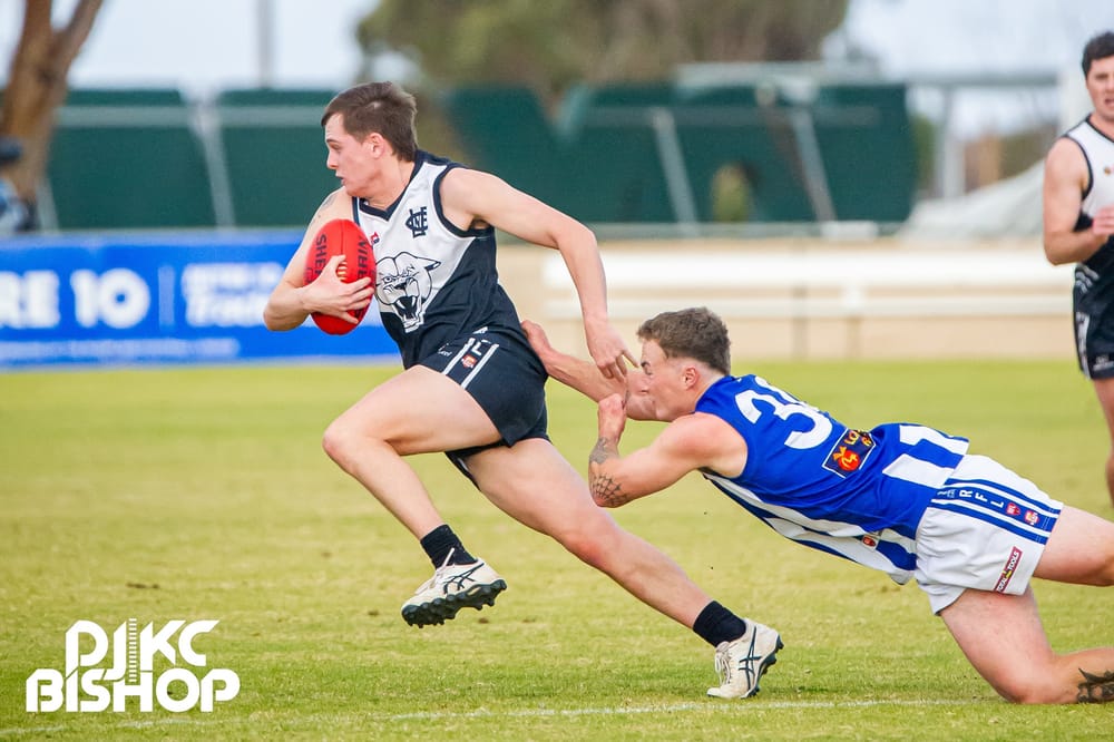 Panthers roar to life after shock upset post image