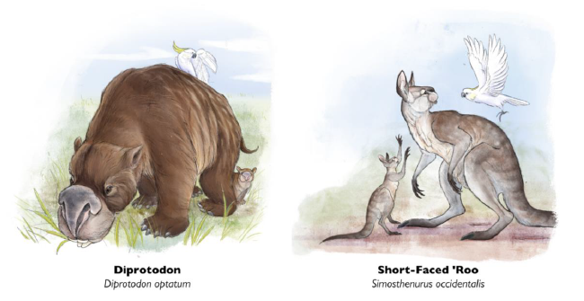 Extinct megafauna prone to ancient ‘hunger games’ post image