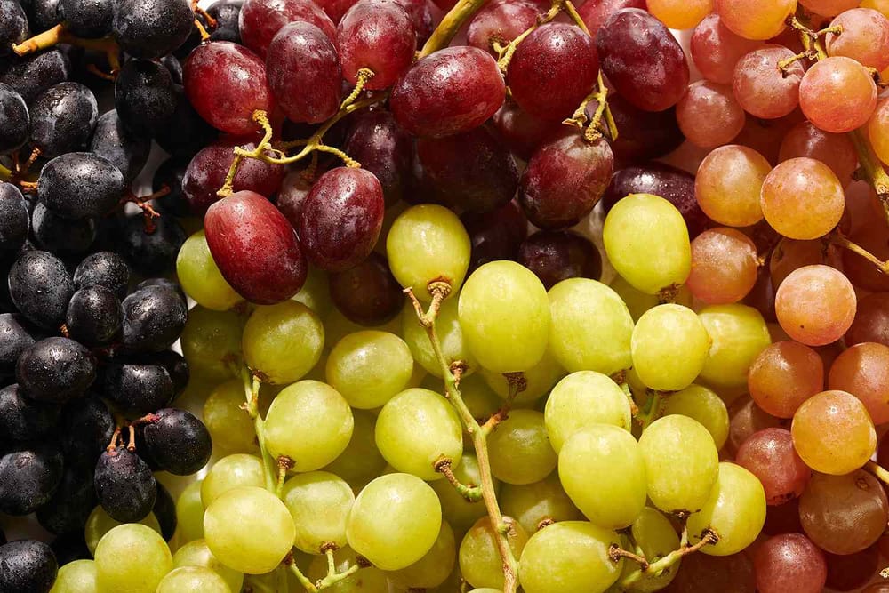 Council’s rate relief for grape growers post image