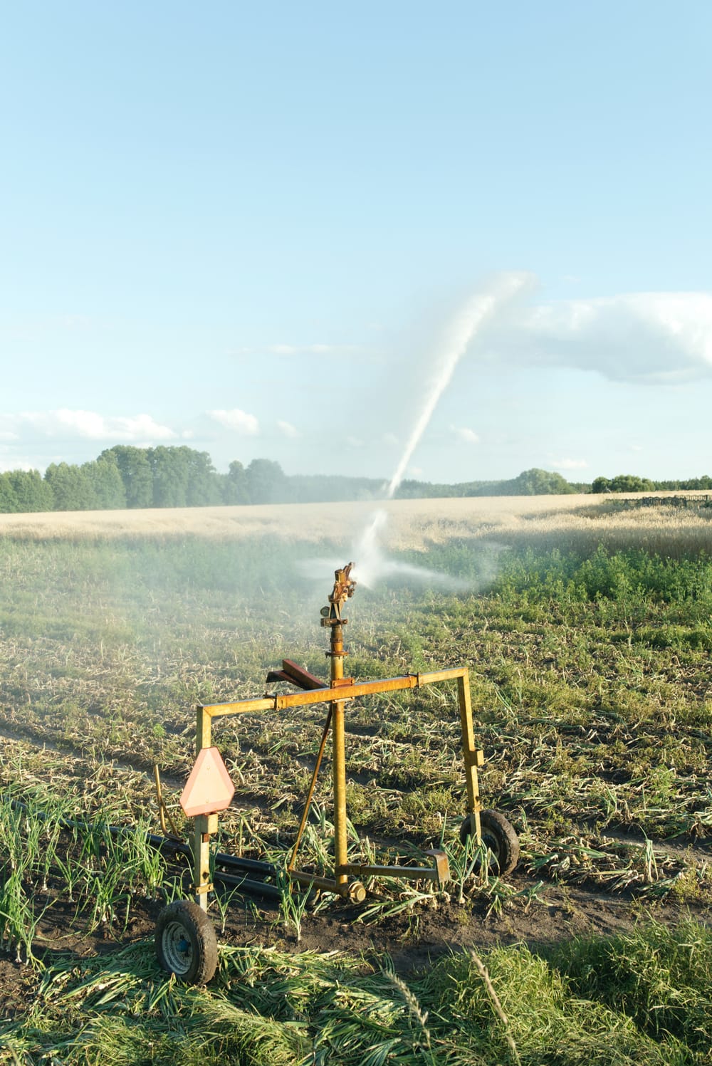 Future water security a priority in new policies post image
