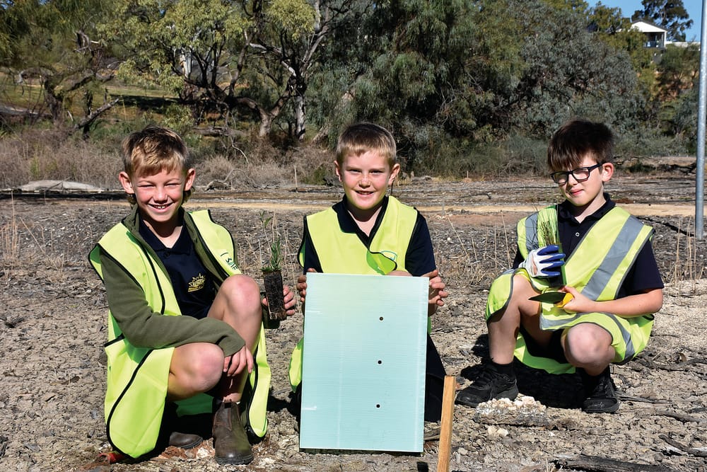 Local students help re-plant floodplain post image