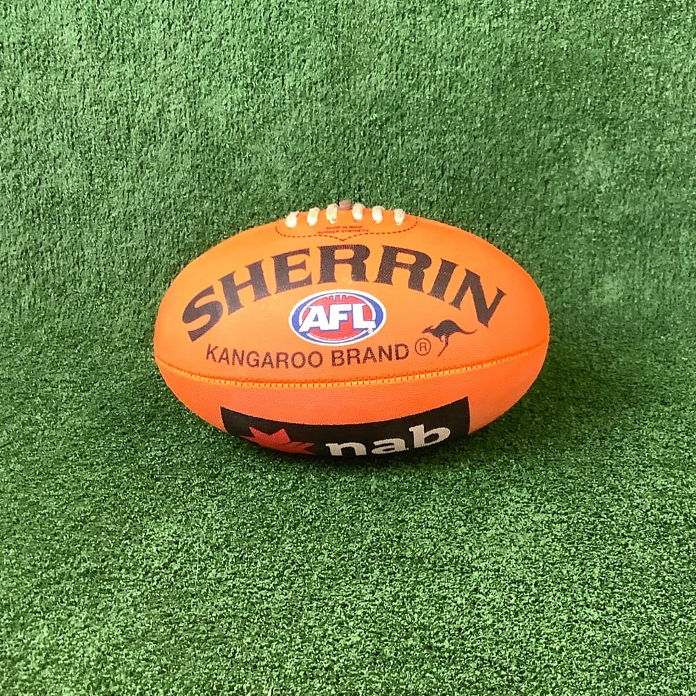 New program sees Riverland football for all post image